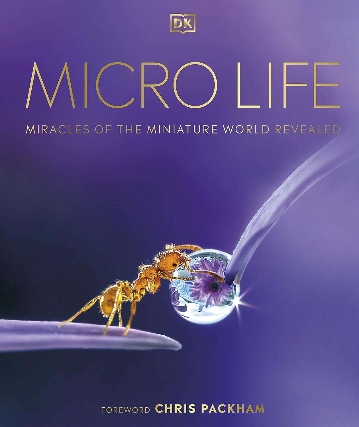 Micro Life: Miracles of the Miniature World Revealed - DK Secret World Encyclopedias (Hardback)