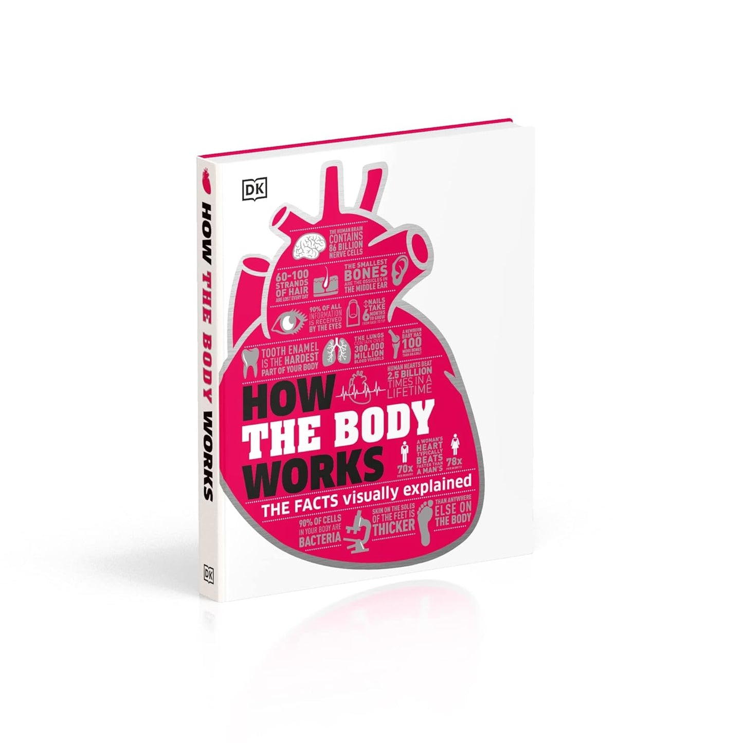 How the Body Works: The Facts Simply Explained - DK How Stuff Works (Hardback)