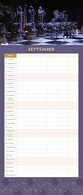 2026 Harry Potter: Hogwarts Family Wall Planner (Paperback)