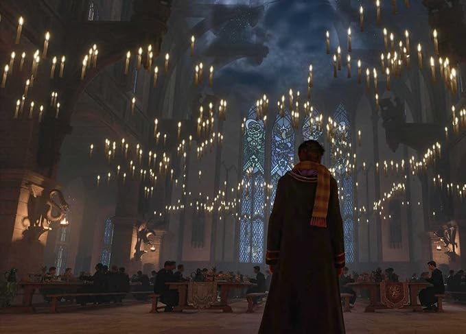 Harry Potter: Hogwarts Legacy Journal (Hardcover)