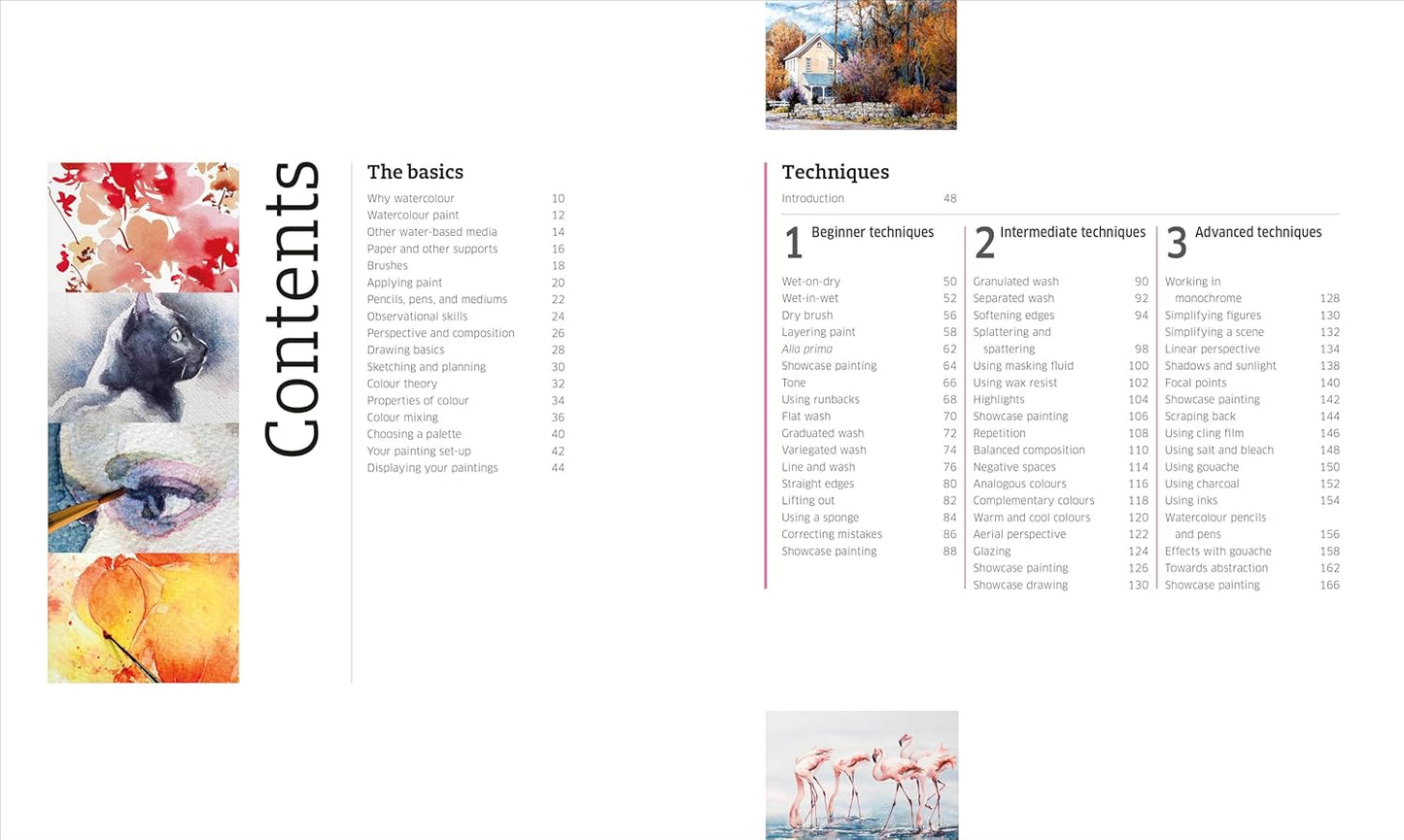 Artist's Watercolour Techniques: Discover How to Paint Landscapes, People and Still Lifes, and Develop Your Own Style (Hardback)