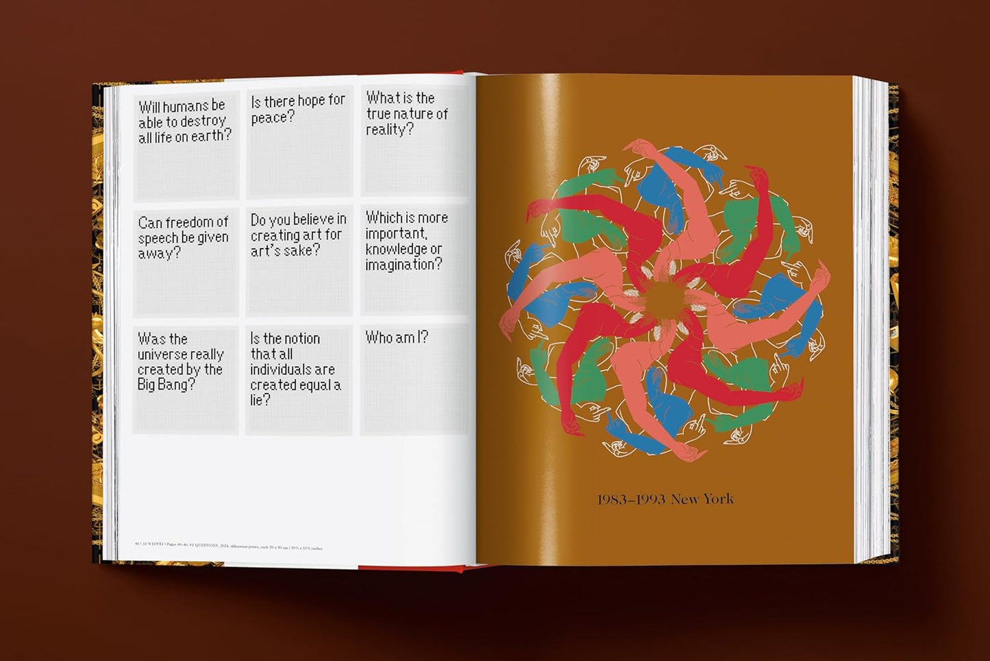 Ai Weiwei. Updated Edition (Hardback)