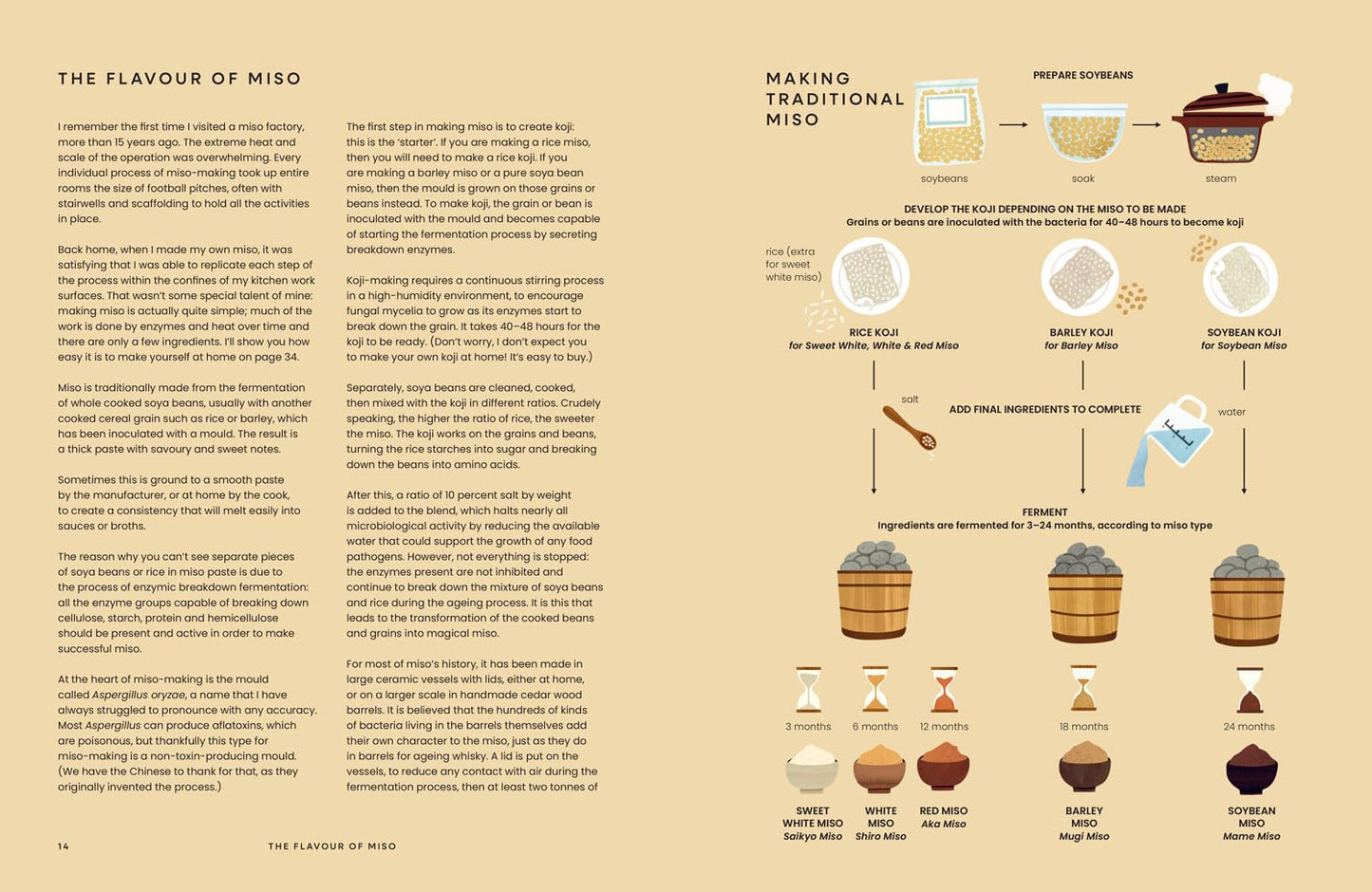 Miso: From Japanese Classics to Everyday Umami (Hardback)