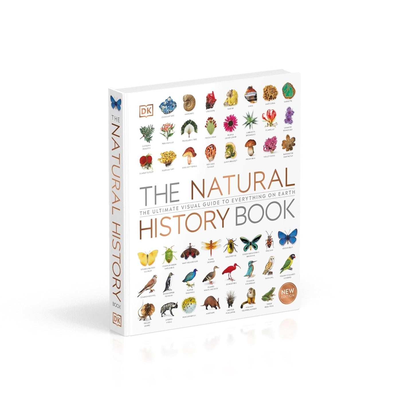 The Natural History Book: The Ultimate Visual Guide to Everything on Earth - DK Definitive Visual Encyclopedias (Hardback)