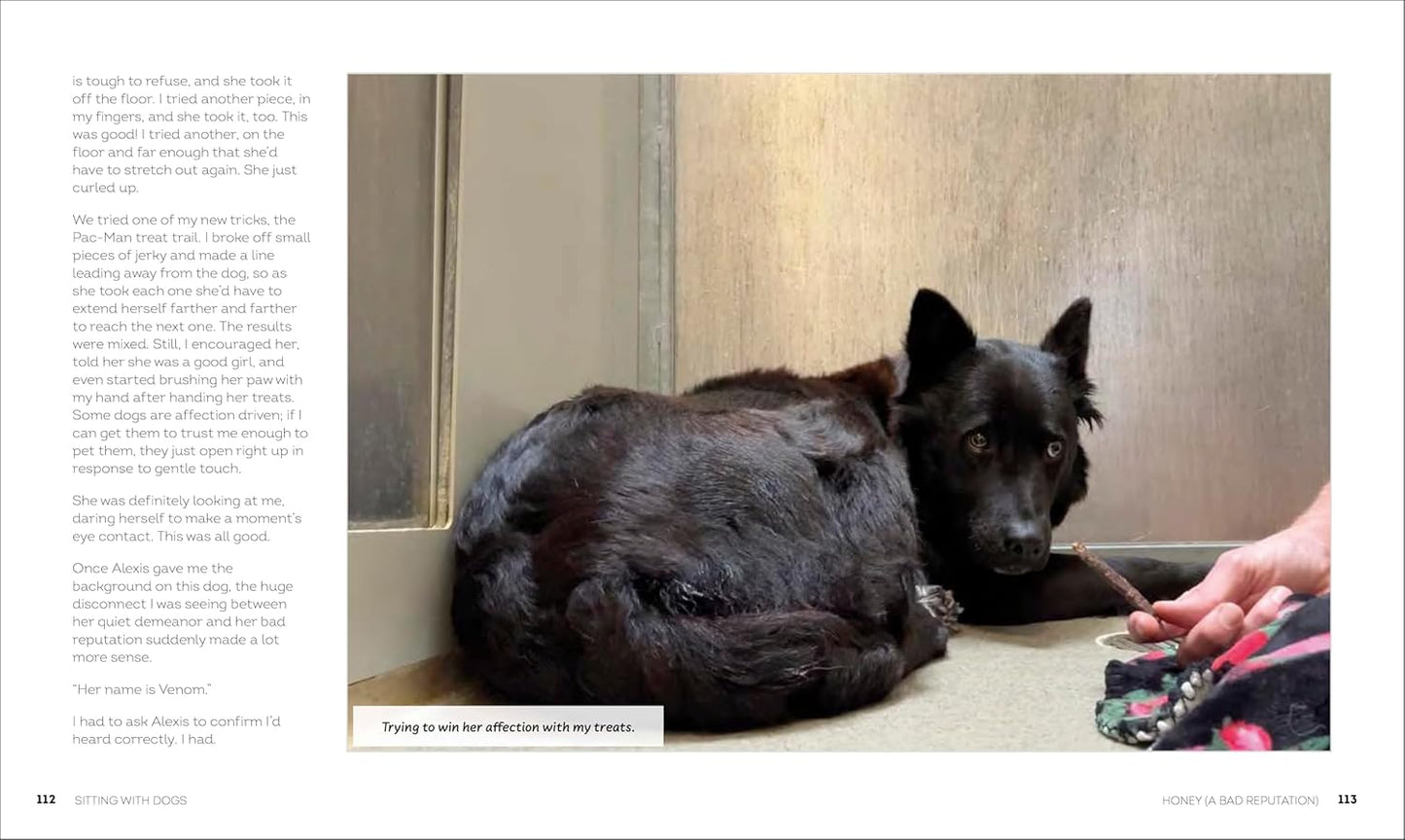 Sitting with Dogs: Stories of Rescue Dogs Going from Lost to Loved (Hardback)