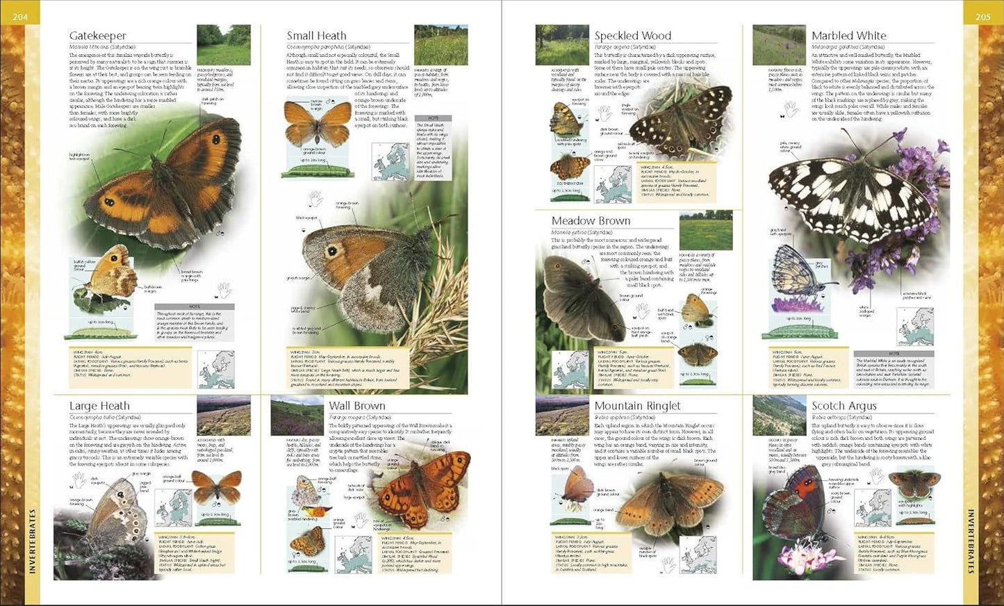 Wildlife of Britain and Ireland: Over 1,400 Species in Incredible Photographic Detail (Hardback)
