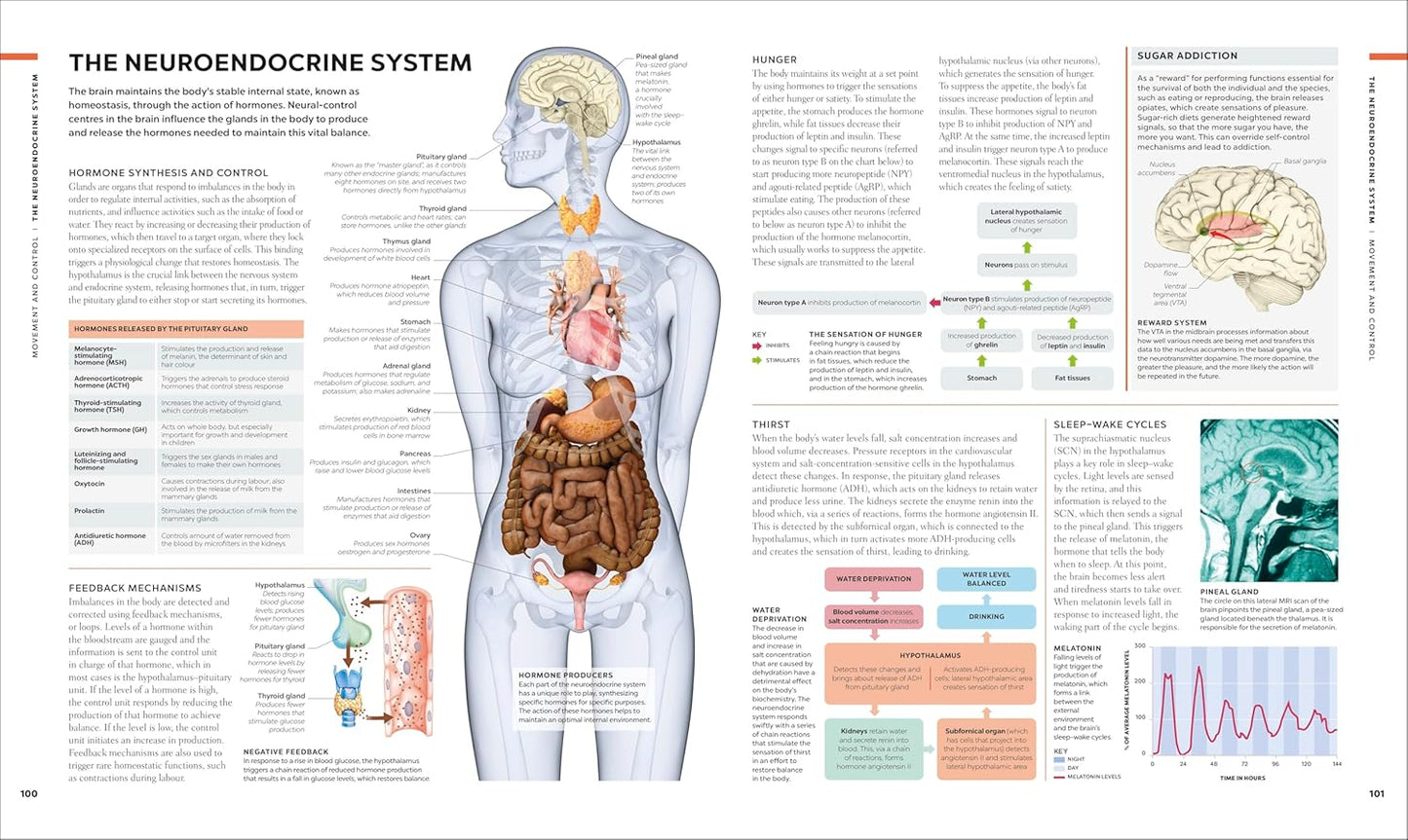 The Brain Book: A Visual Guide to Structure and Function - DK Human Body Guides (Hardback)