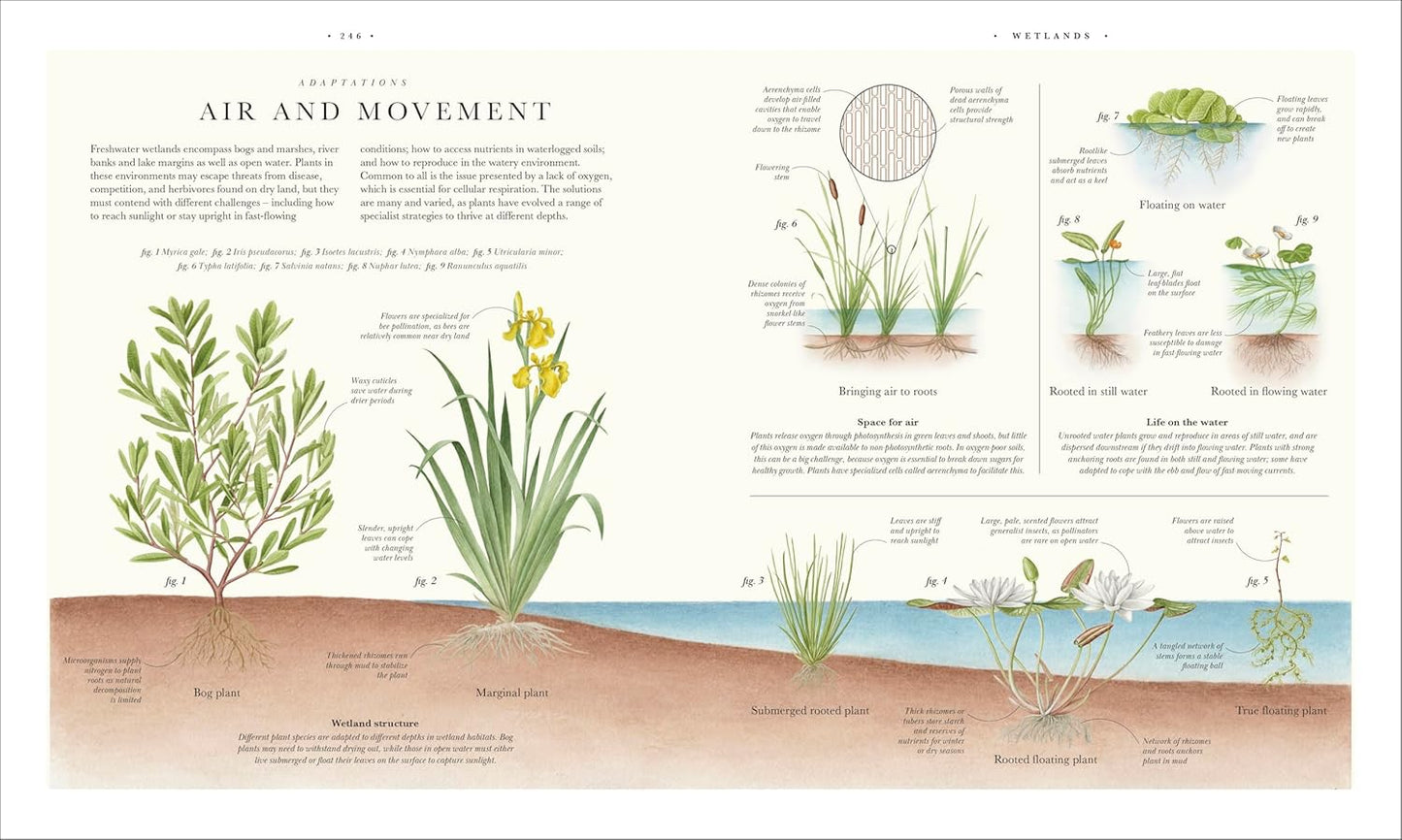 Atlas of Botany: An Exploration of Plants Across Time and Around the World (Hardback)