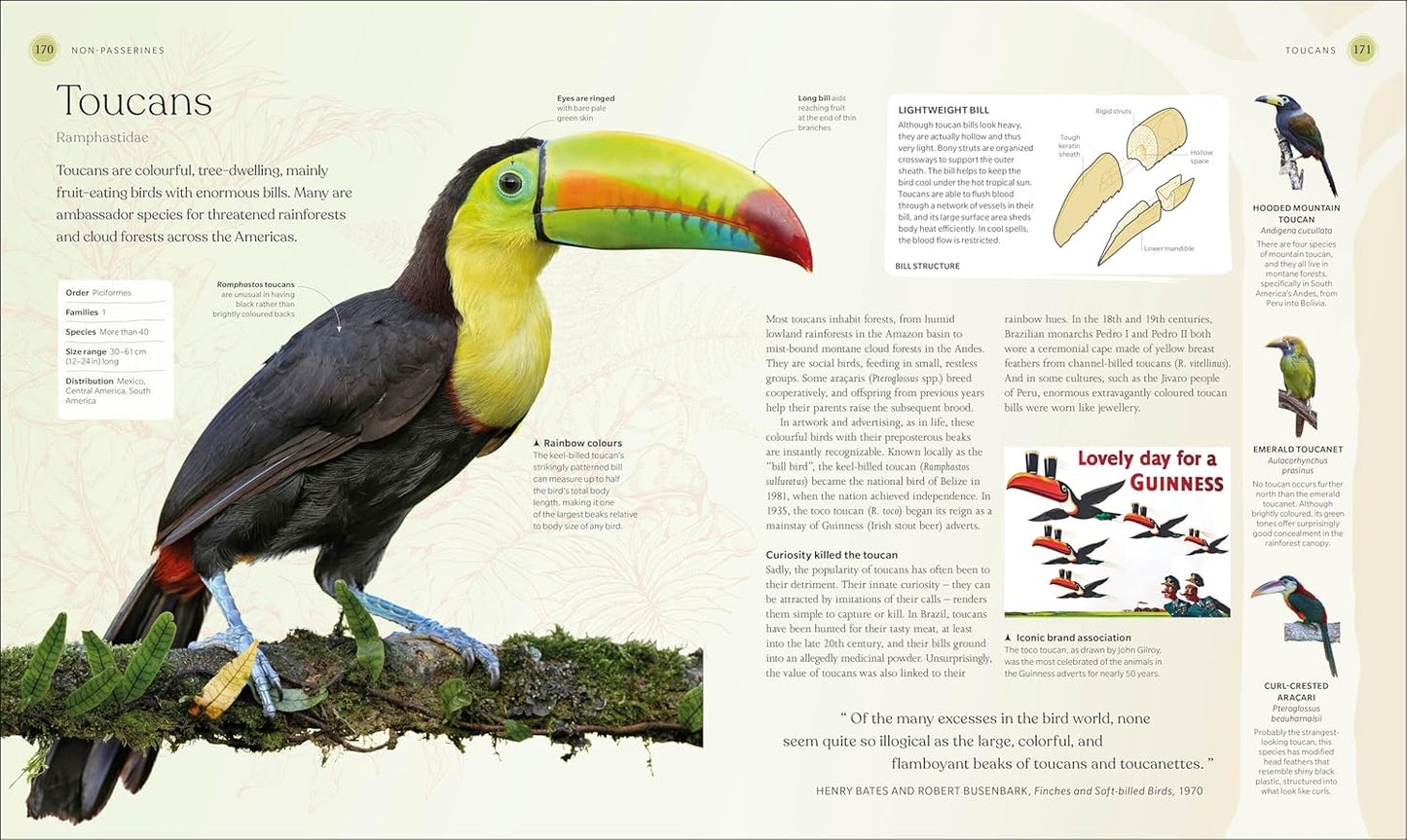 The Bird Book: The Stories, Science, and History of Birds - DK Nature Books (Hardback)