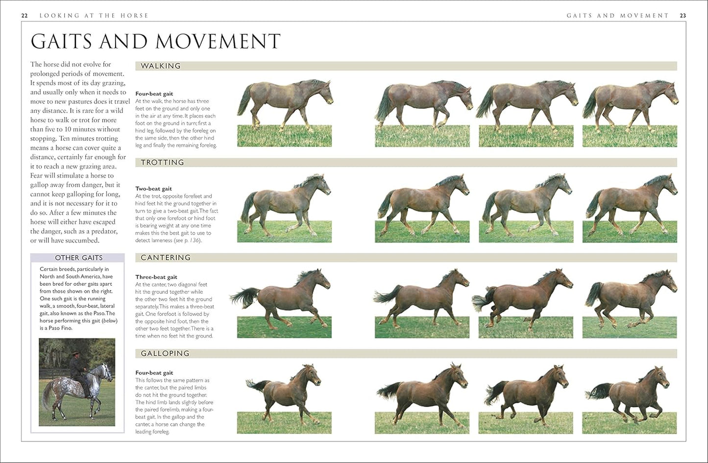 Complete Horse Care Manual - DK Practical Pet Guides (Hardback)