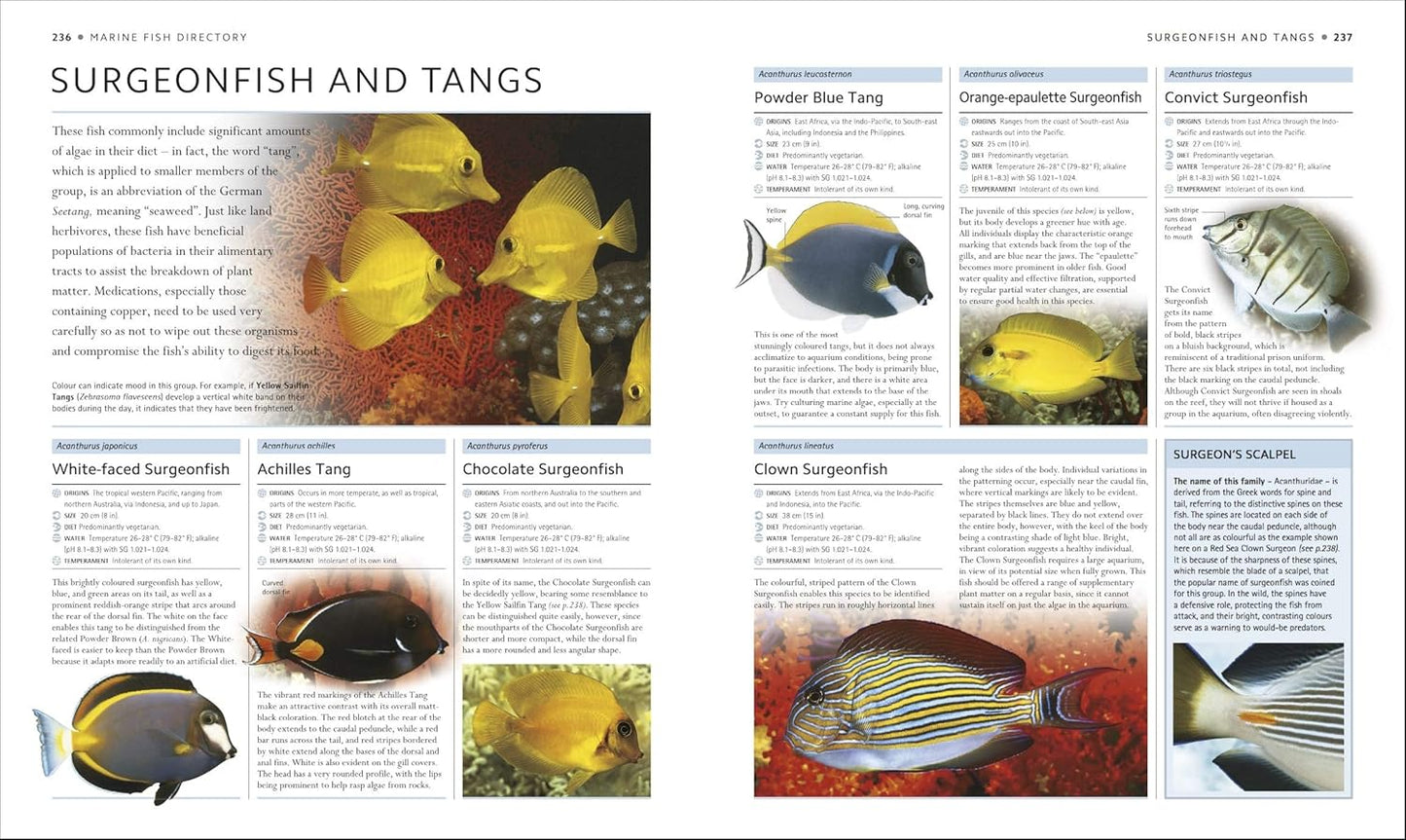 Encyclopedia of Aquarium and Pond Fish - DK Pet Encyclopedias (Hardback)