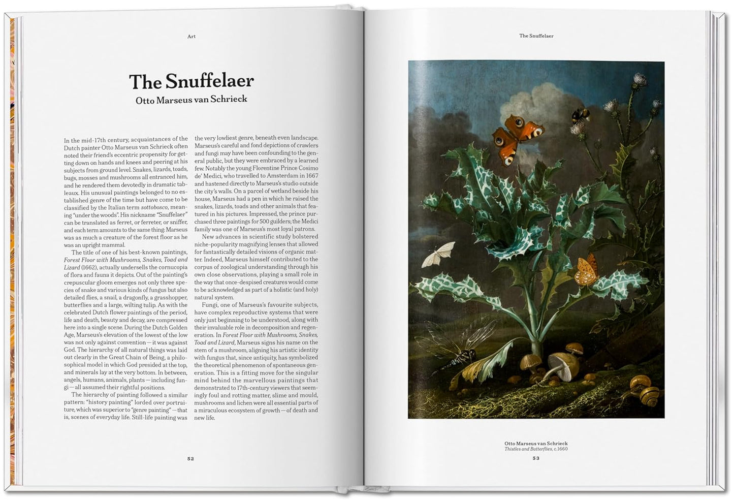 The Gourmand's Mushroom (Hardback)