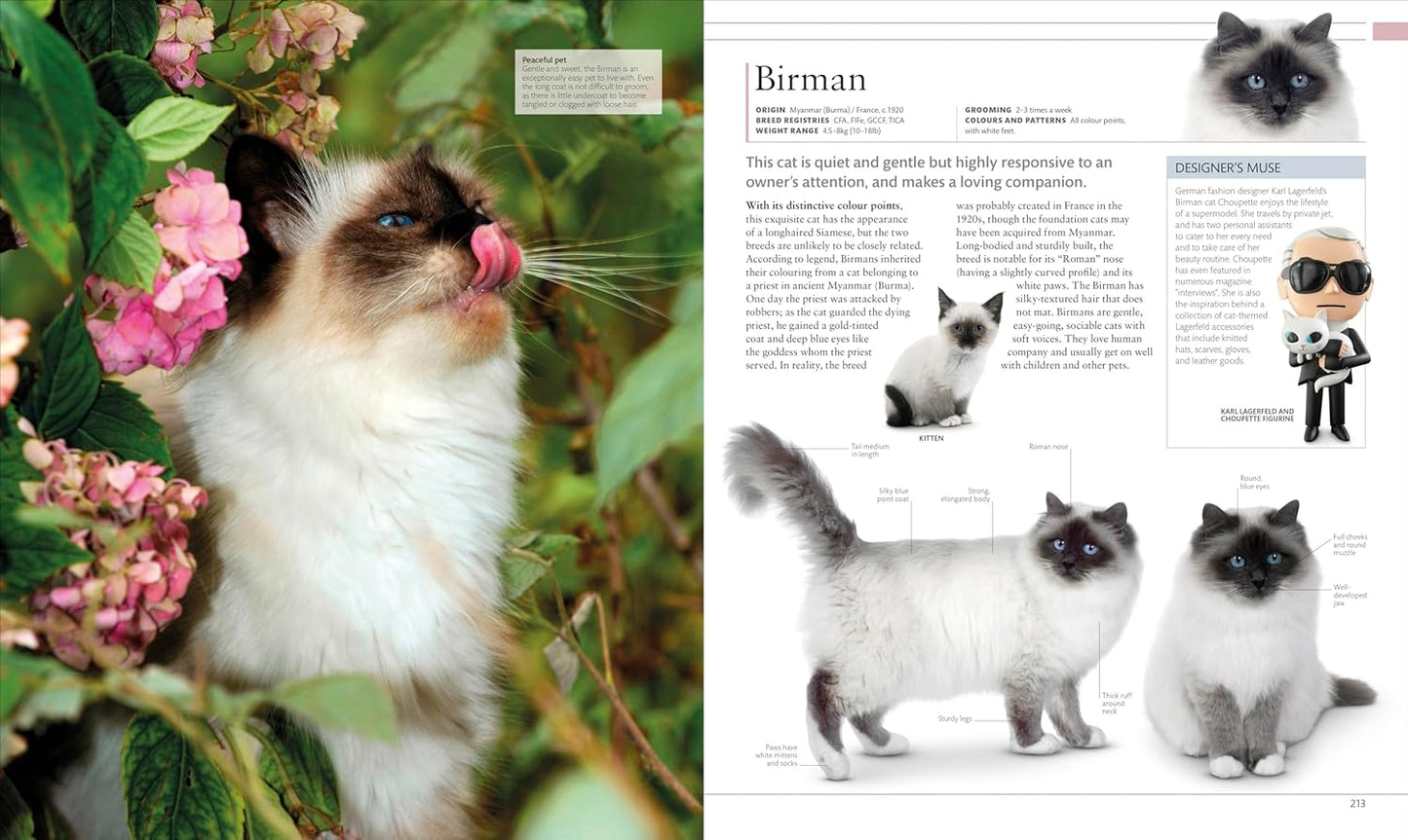 The Cat Encyclopedia: The Definitive Visual Guide - DK Pet Encyclopedias (Hardback)