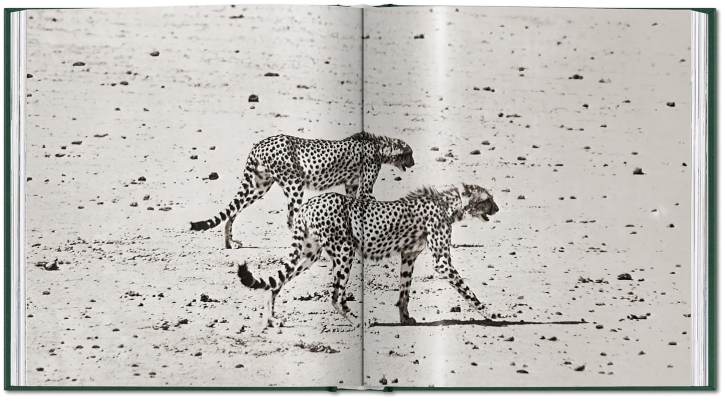 Peter Beard. The End of the Game (Hardback)