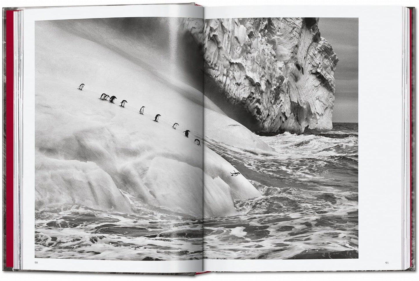 Sebastião Salgado. Genesis. 45th Ed. - 45th Edition (Hardback)