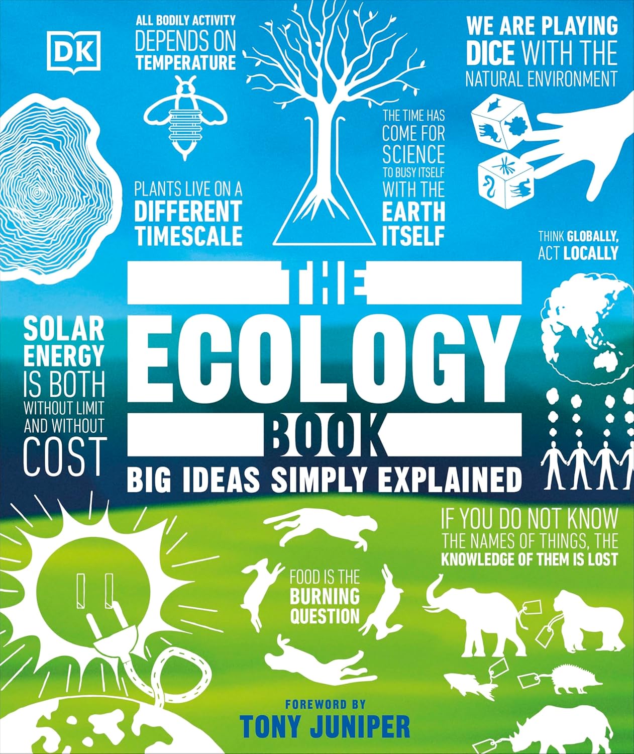 The Ecology Book: Big Ideas Simply Explained - DK Big Ideas (Hardback)