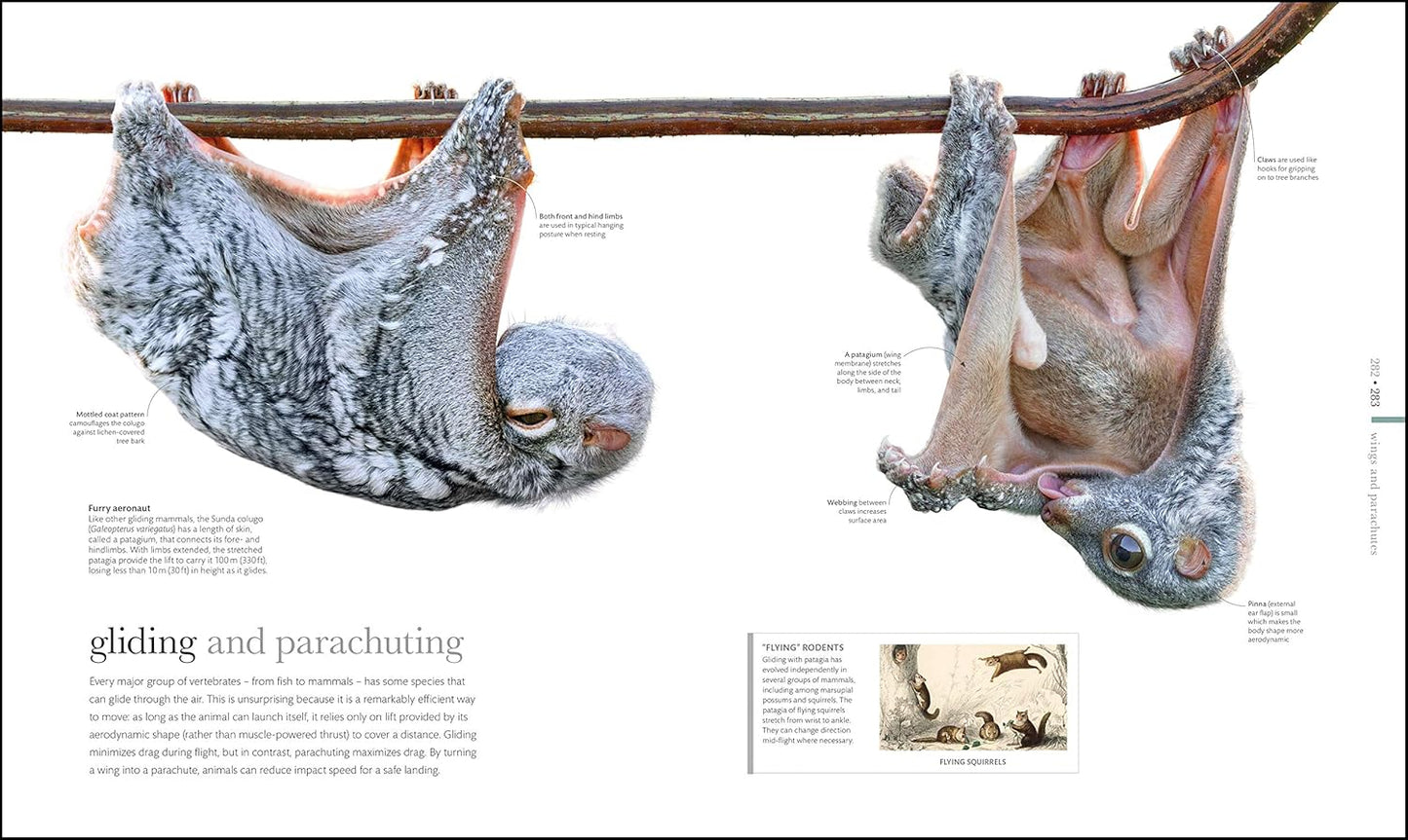 The Science of Animals: Inside their Secret World - DK Secret World Encyclopedias (Hardback)