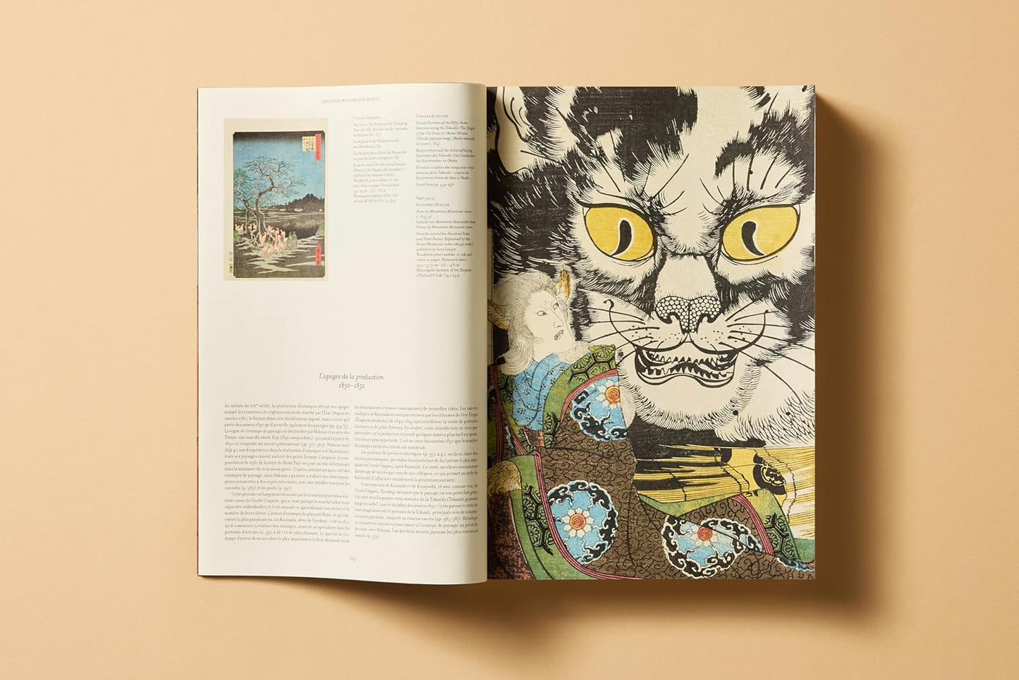 Japanese Woodblock Prints (Hardback)