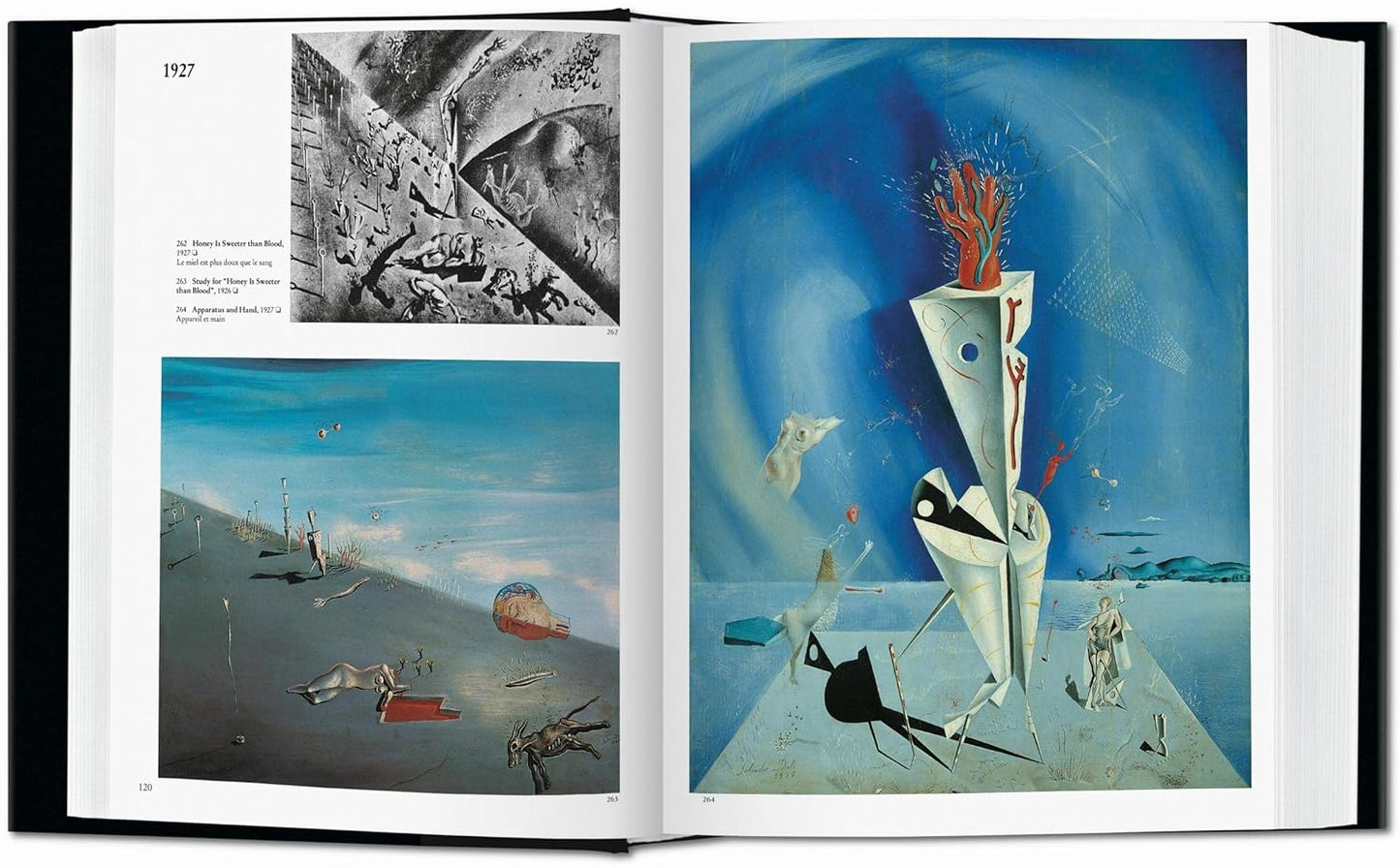 Dalí. The Paintings - Bibliotheca Universalis (Hardback)