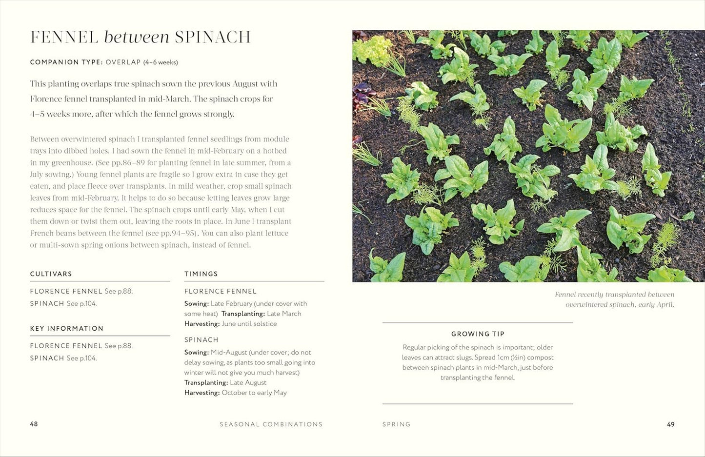 Grow Together: 50 Planting Partnerships to Boost Your Harvests (Hardback)