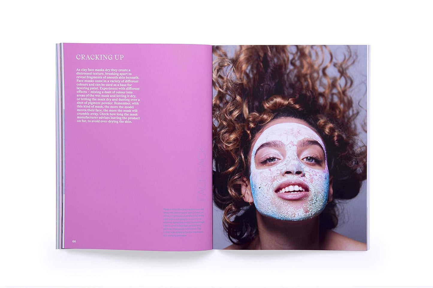 ProMakeup Design Book: Includes 30 Face Charts (Paperback)