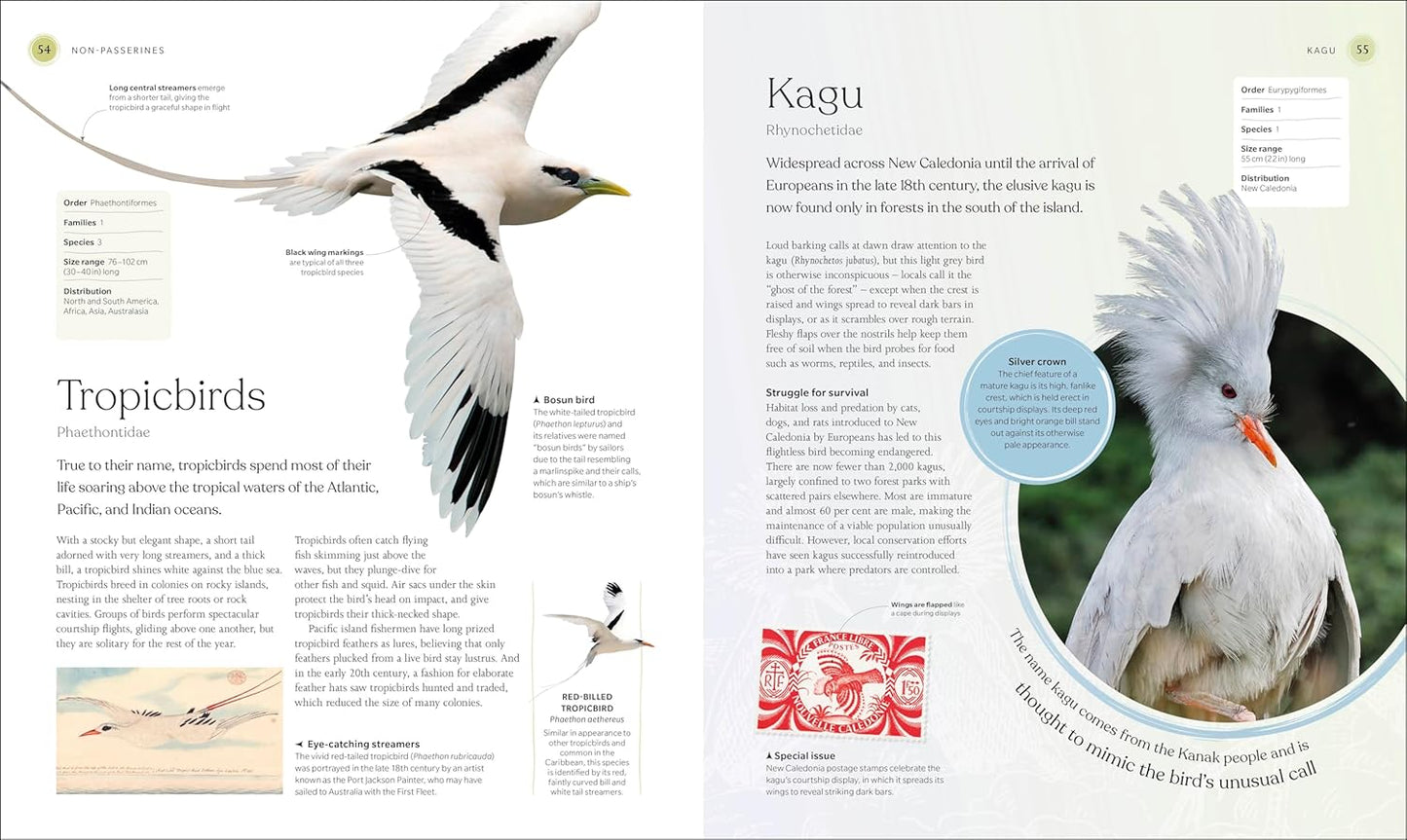 The Bird Book: The Stories, Science, and History of Birds - DK Nature Books (Hardback)