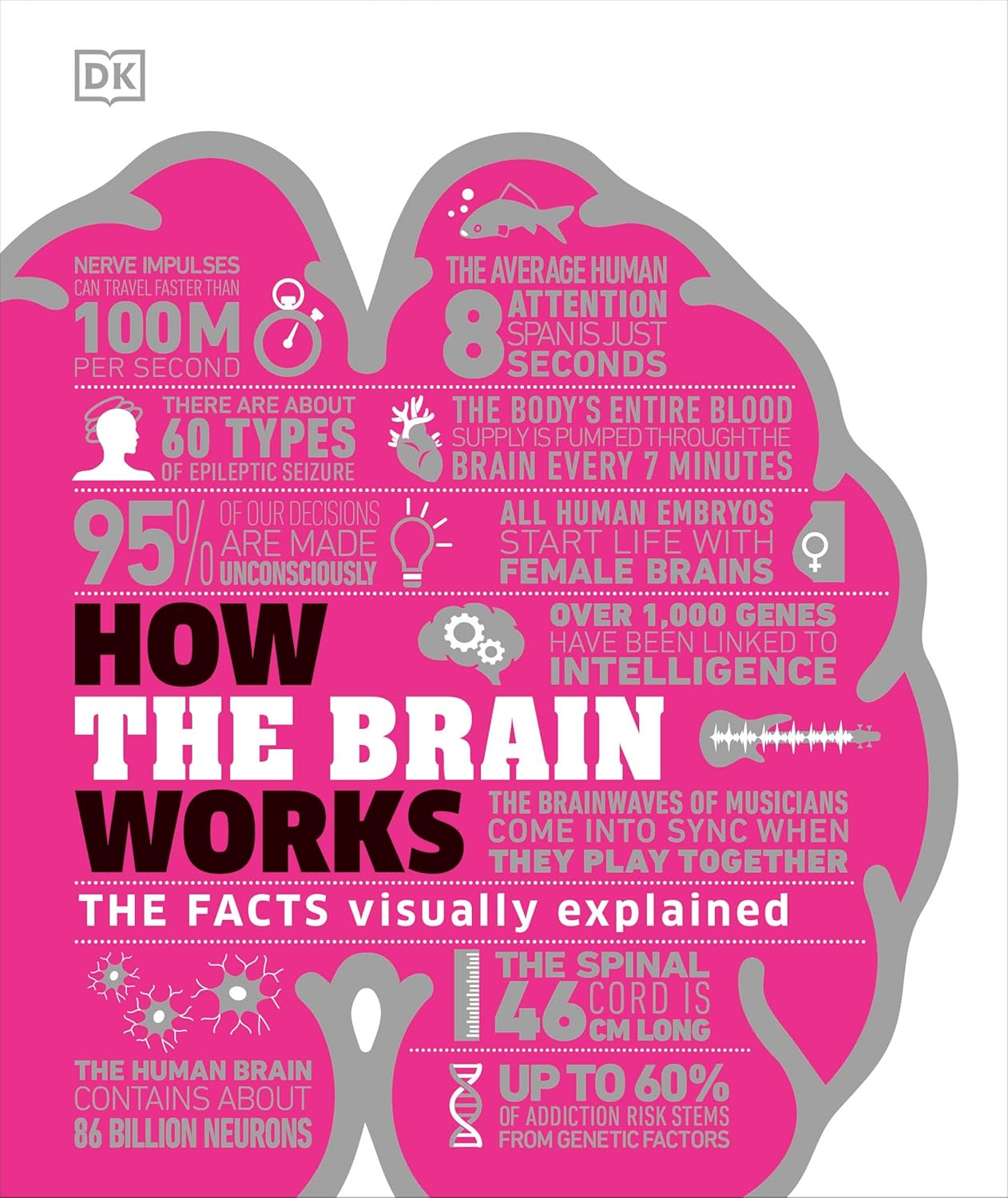 How the Brain Works: The Facts Visually Explained - DK How Stuff Works (Hardback)