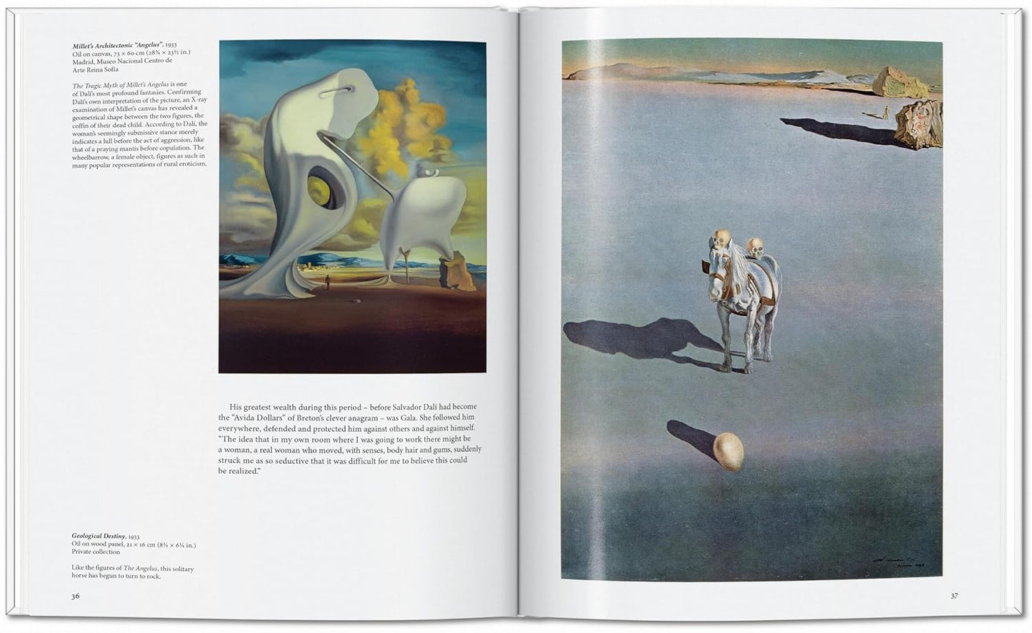 Dalí - Basic Art (Hardback)