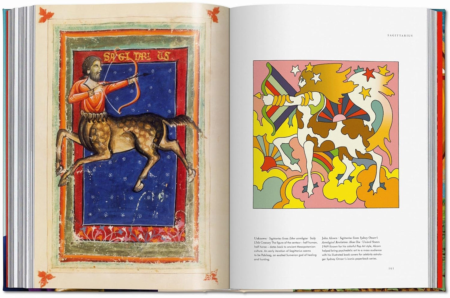 Astrology. The Library of Esoterica (Hardback)