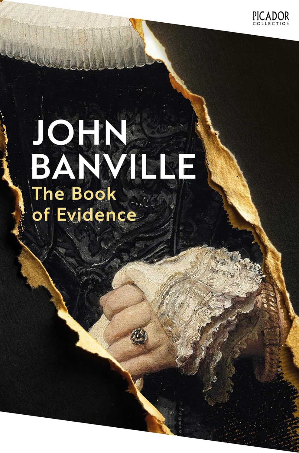 The Book of Evidence By John Banville - Frames: The Freddie Montgomery Trilogy #1