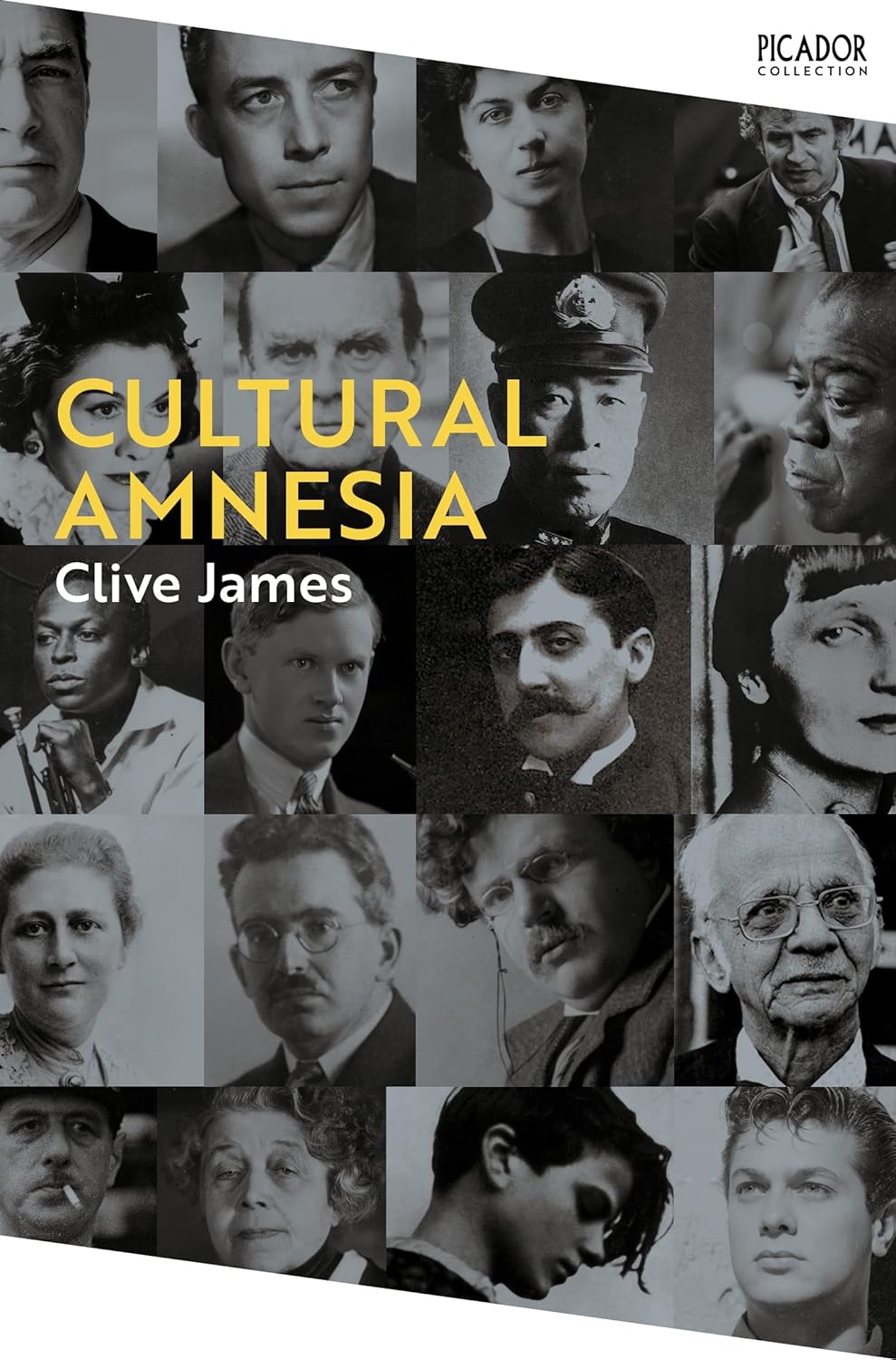 Cultural Amnesia: Necessary Memories from History and the Arts By Clive James