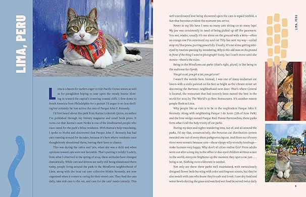 Street Cats & Where to Find Them: The Most Feline-Friendly Cities and Attractions Around the World (Hardback)