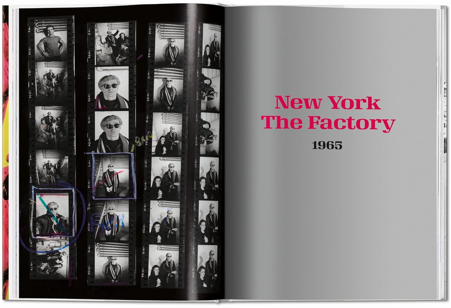 Steve Schapiro. Andy Warhol and Friends (Hardback)