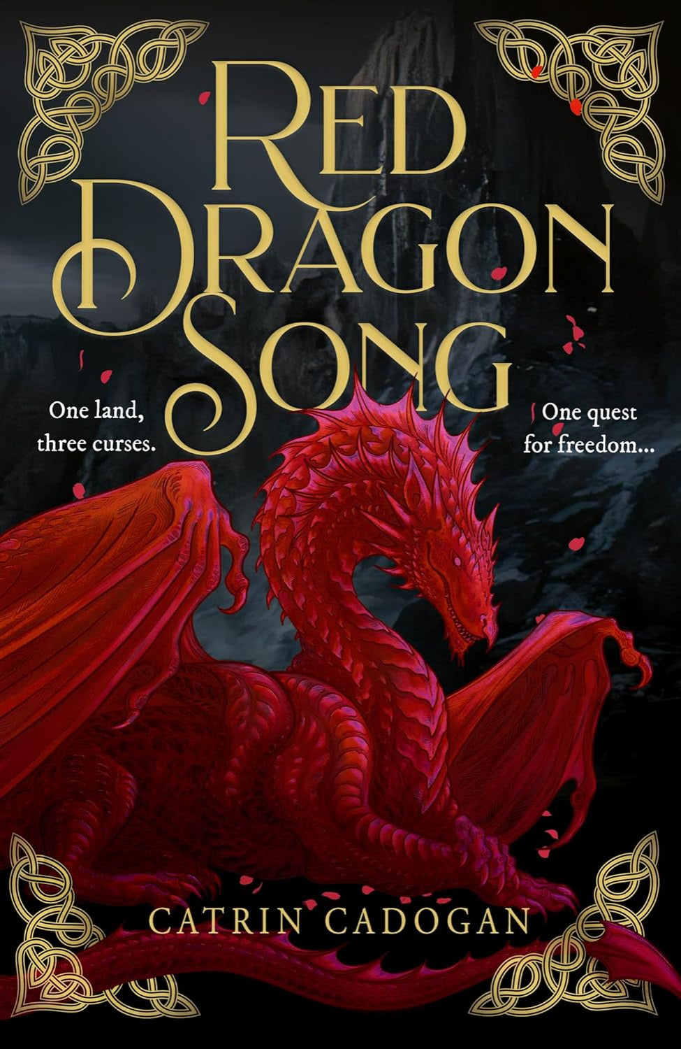 Red Dragon Song: One Land, Three Curses. One Quest for Freedom… By Catrin Cadogan  (Hardback)