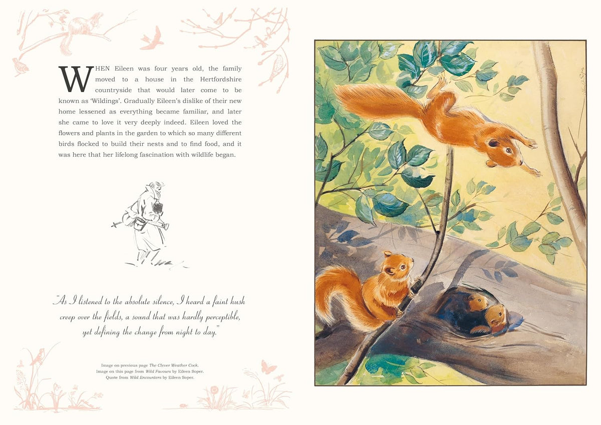 Eileen Soper: The Wonder of Nature Pull-Out Prints: With 22 vintage illustrations, plus quotes and facts (Hardback)