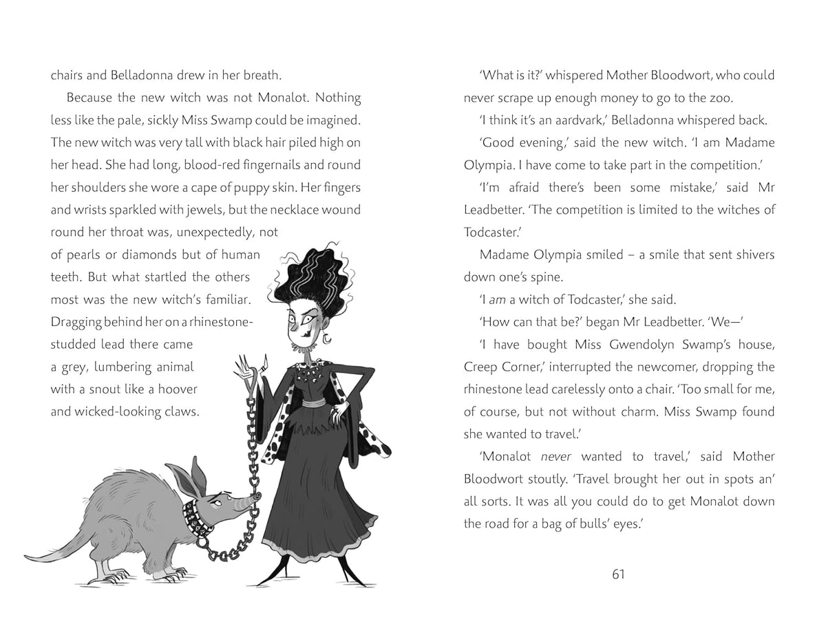 Which Witch? By Eva Ibbotson