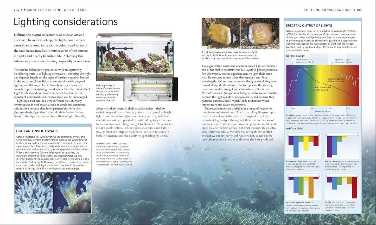 Encyclopedia of Aquarium and Pond Fish - DK Pet Encyclopedias (Hardback)