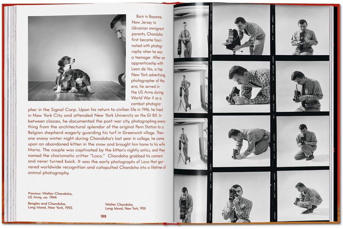 Walter Chandoha. Dogs. Photographs 1941–1991 (Hardback)