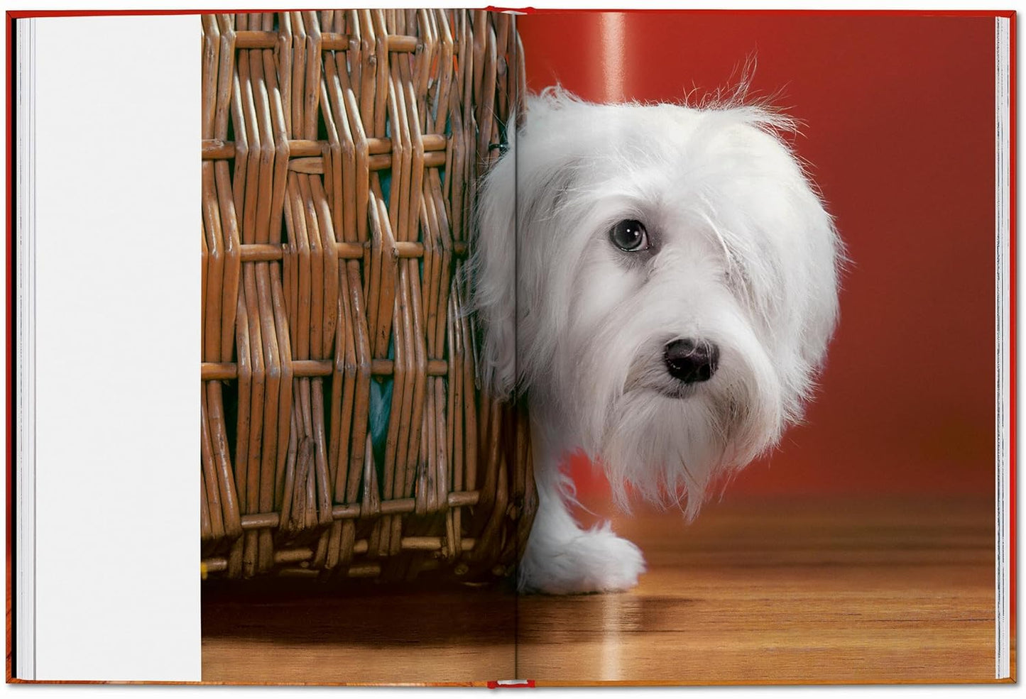 Walter Chandoha. Dogs. Photographs 1941–1991 (Hardback)