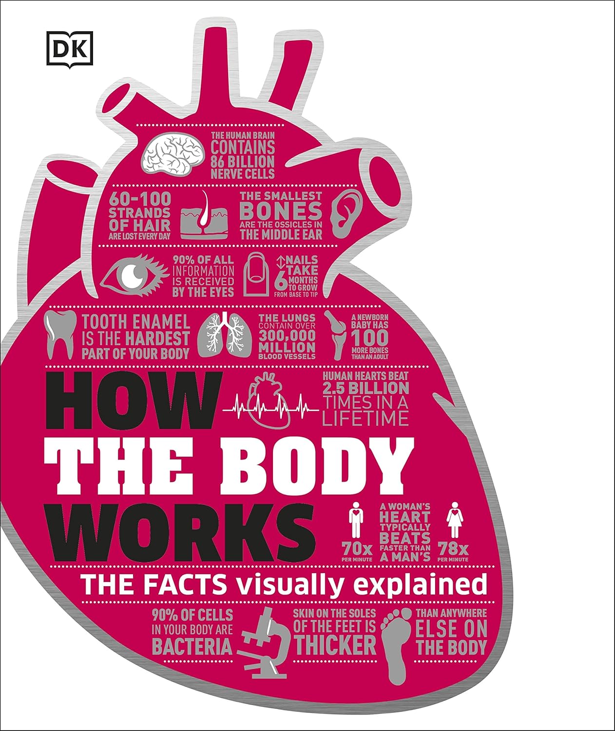 How the Body Works: The Facts Simply Explained - DK How Stuff Works (Hardback)