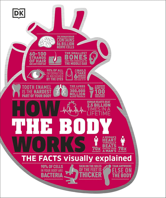 How the Body Works: The Facts Simply Explained - DK How Stuff Works (Hardback)