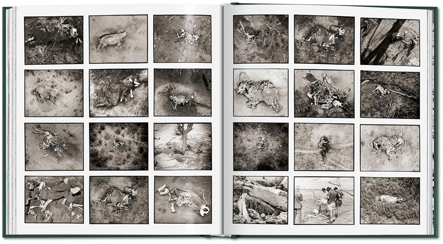 Peter Beard. The End of the Game (Hardback)