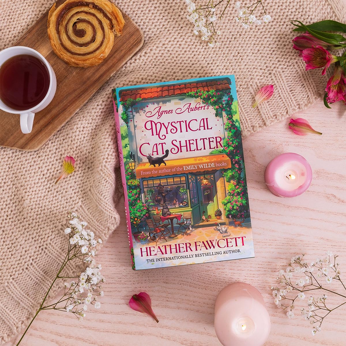 Agnes Aubert's Mystical Cat Shelter By Heather Fawcett (Hardback)