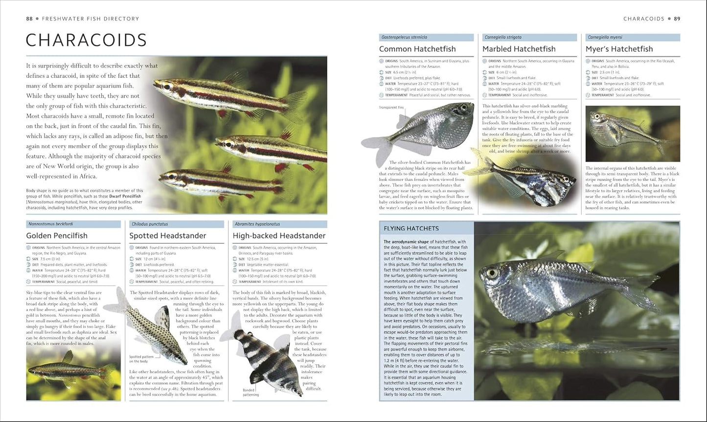 Encyclopedia of Aquarium and Pond Fish - DK Pet Encyclopedias (Hardback)