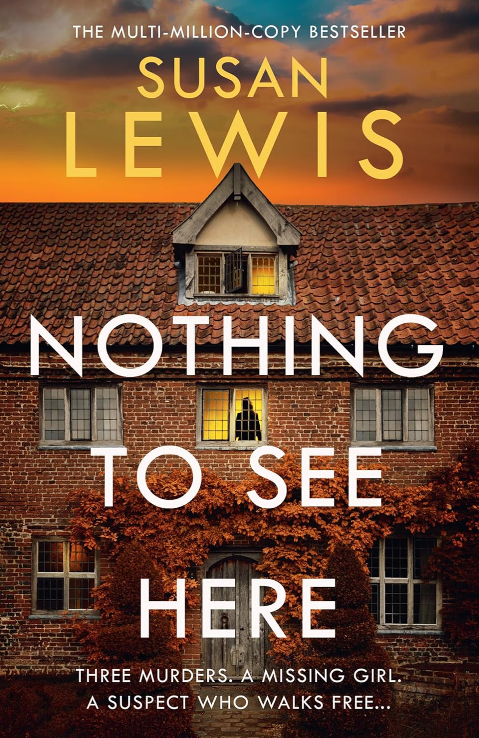 Nothing to See Here By Susan Lewis