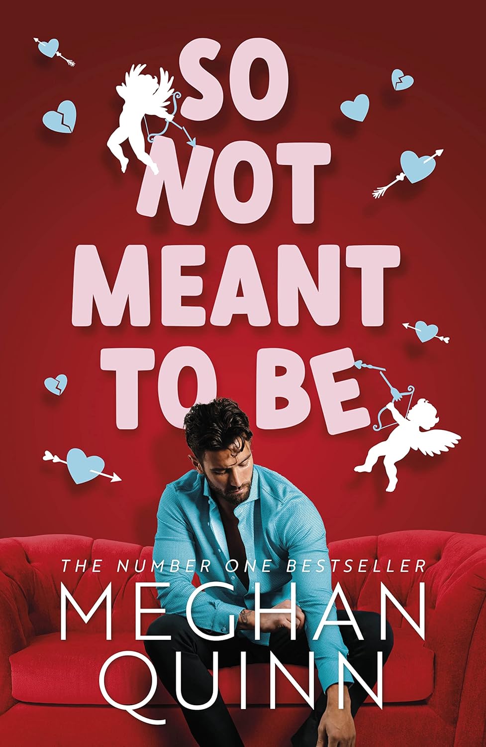 So Not Meant To Be By Meghan Quinn - Cane Brothers #2