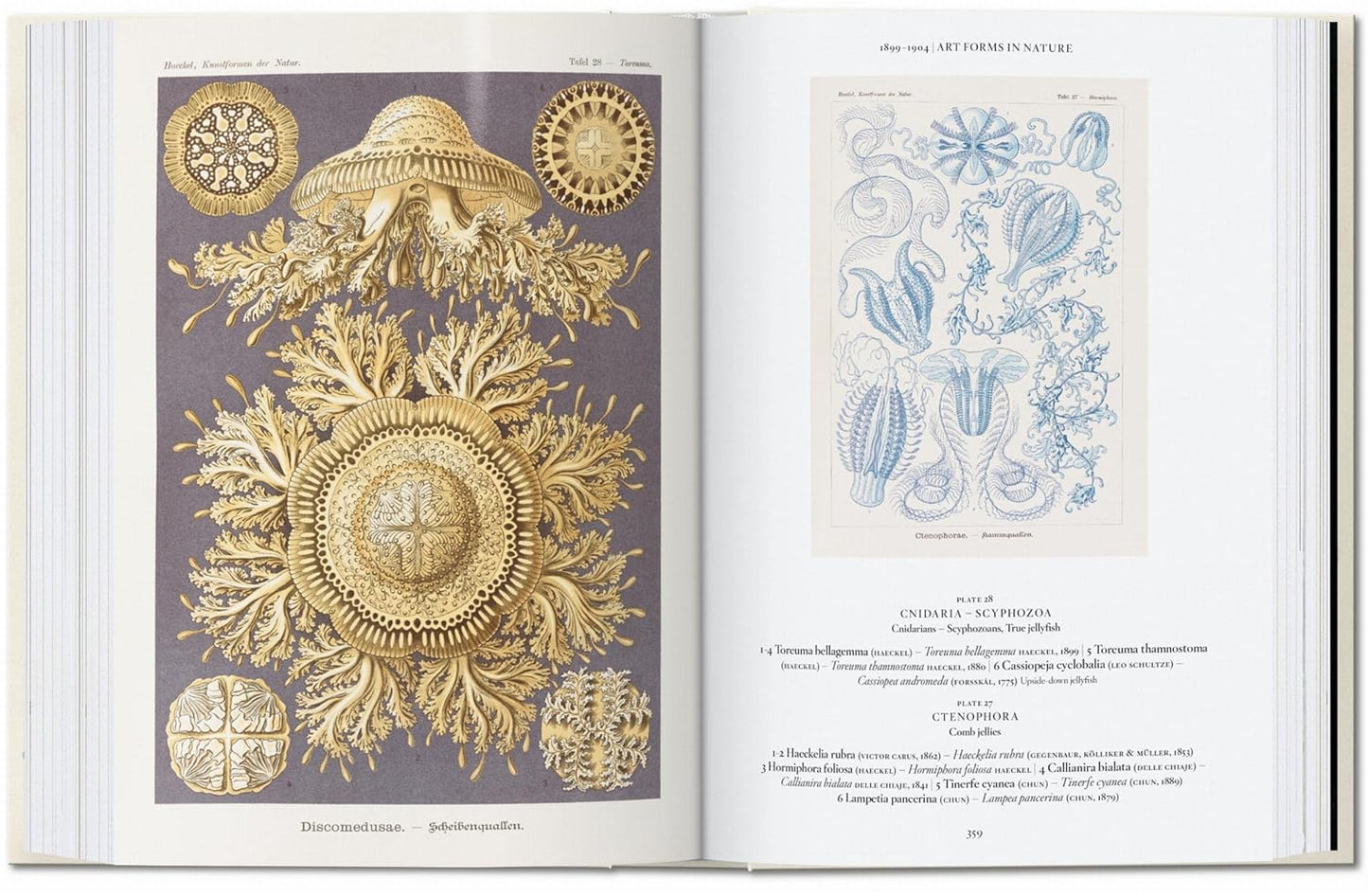 The Art and Science of Ernst Haeckel. 45th Ed. - 45th Edition (Hardback)