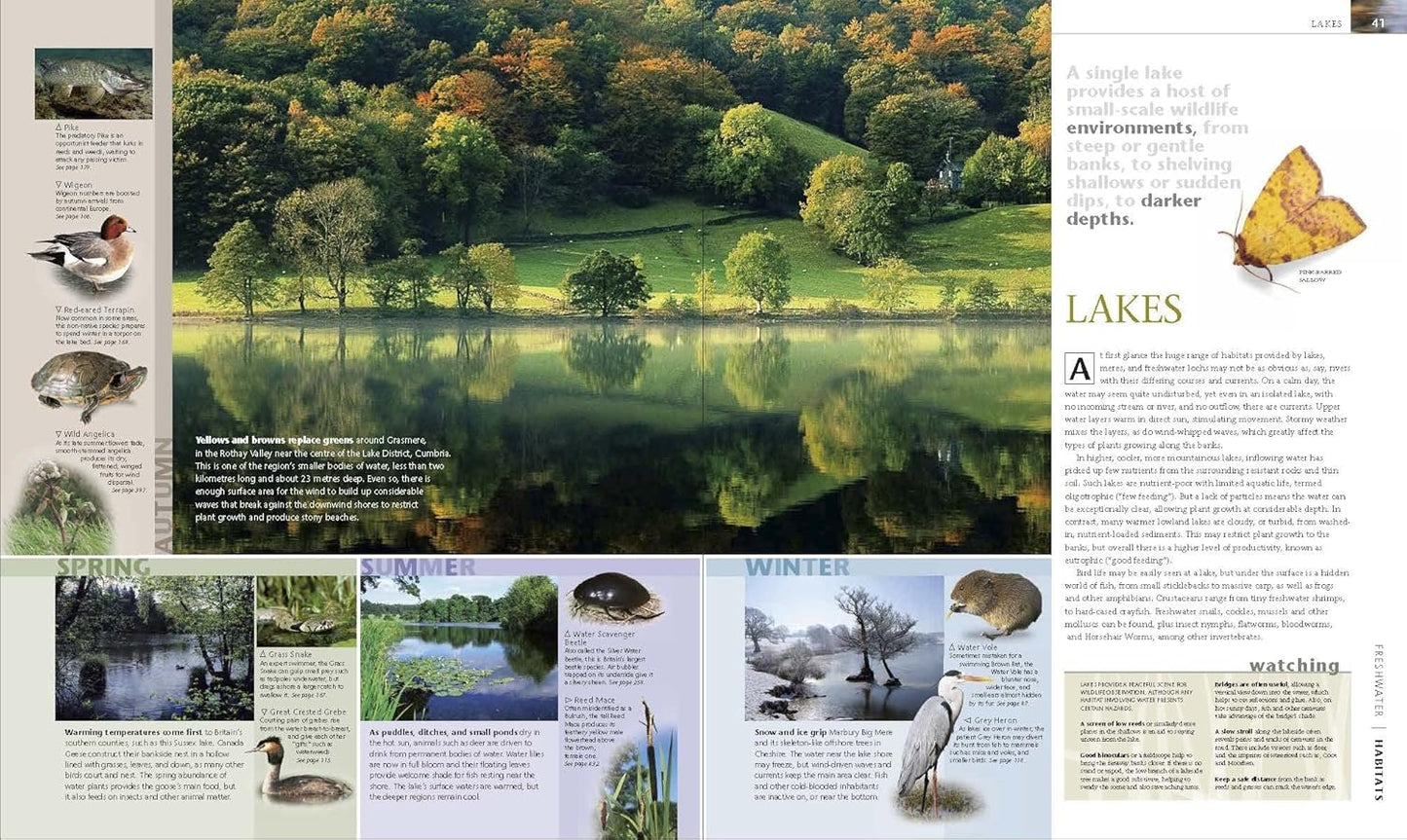 Wildlife of Britain and Ireland: Over 1,400 Species in Incredible Photographic Detail (Hardback)