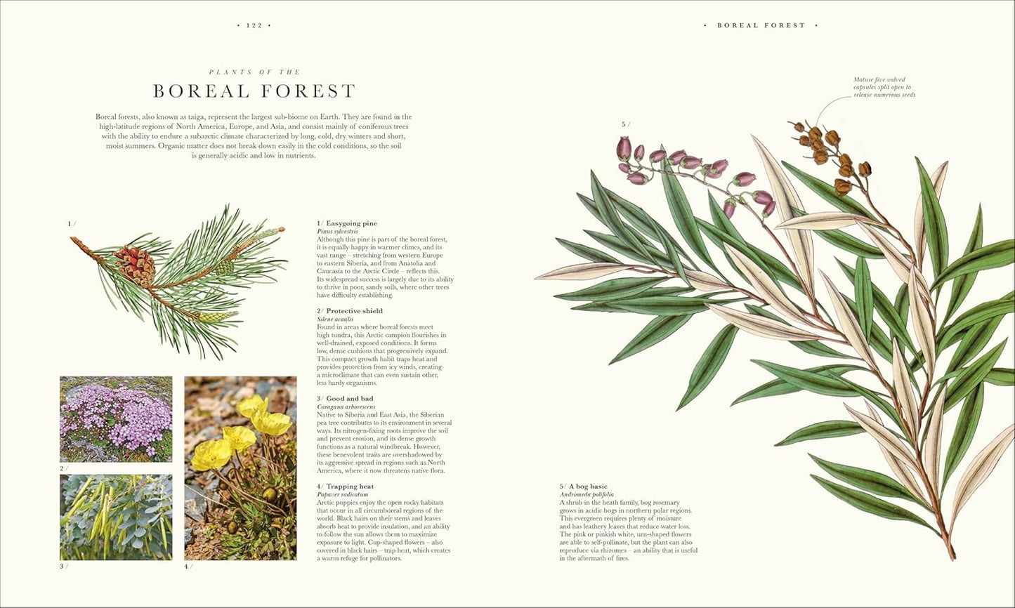 Atlas of Botany: An Exploration of Plants Across Time and Around the World (Hardback)