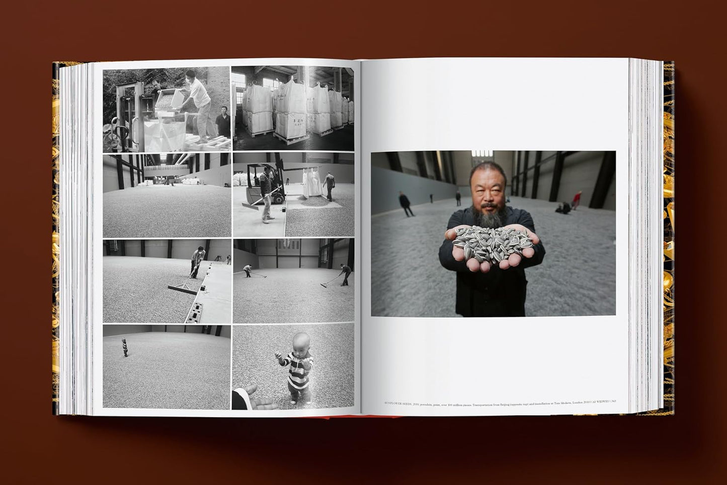 Ai Weiwei. Updated Edition (Hardback)